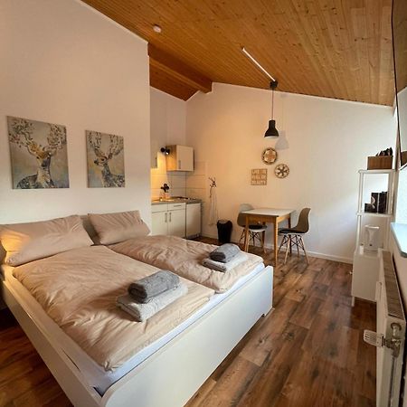 Apartment Kleiner Muenz Koblenz  Eksteriør bilde