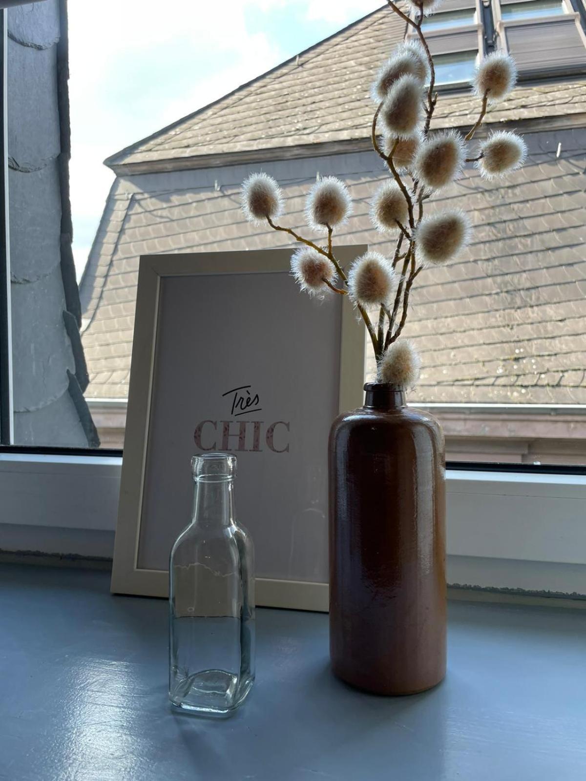 Apartment Kleiner Muenz Koblenz  Eksteriør bilde